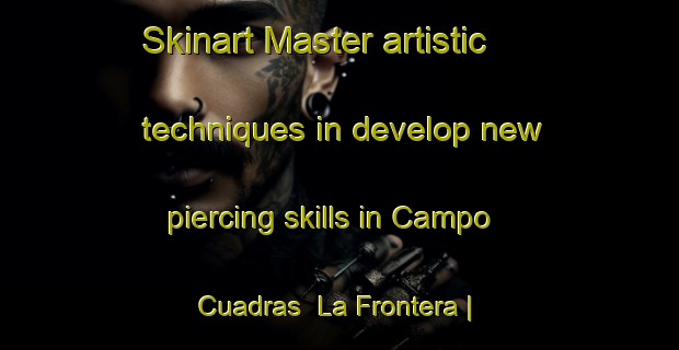 Skinart Master artistic techniques in develop new piercing skills in Campo Cuadras  La Frontera | PiercingTraining | PiercingClasses | SkinartTraining-Mexico